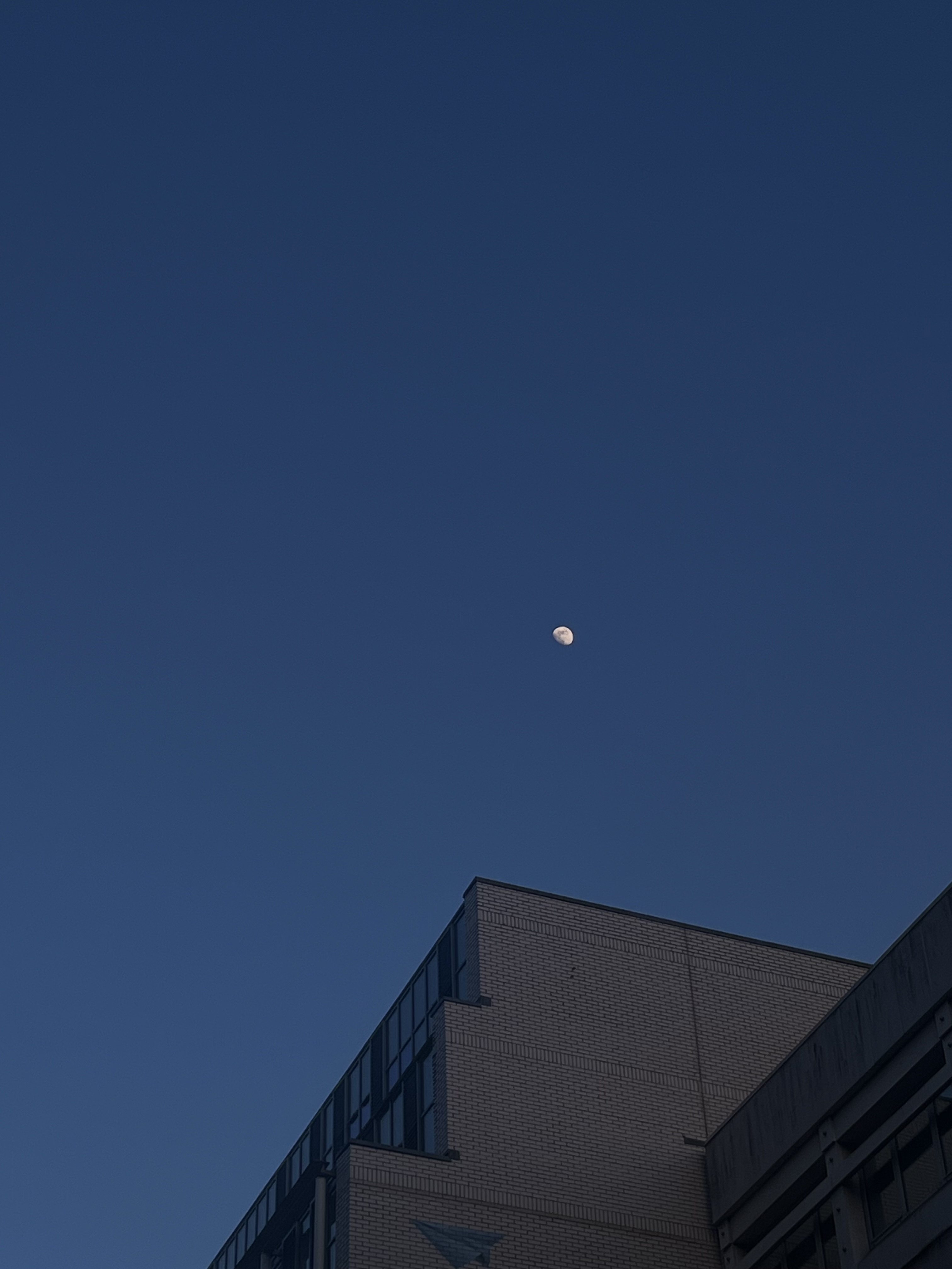 Palette — photograph 2