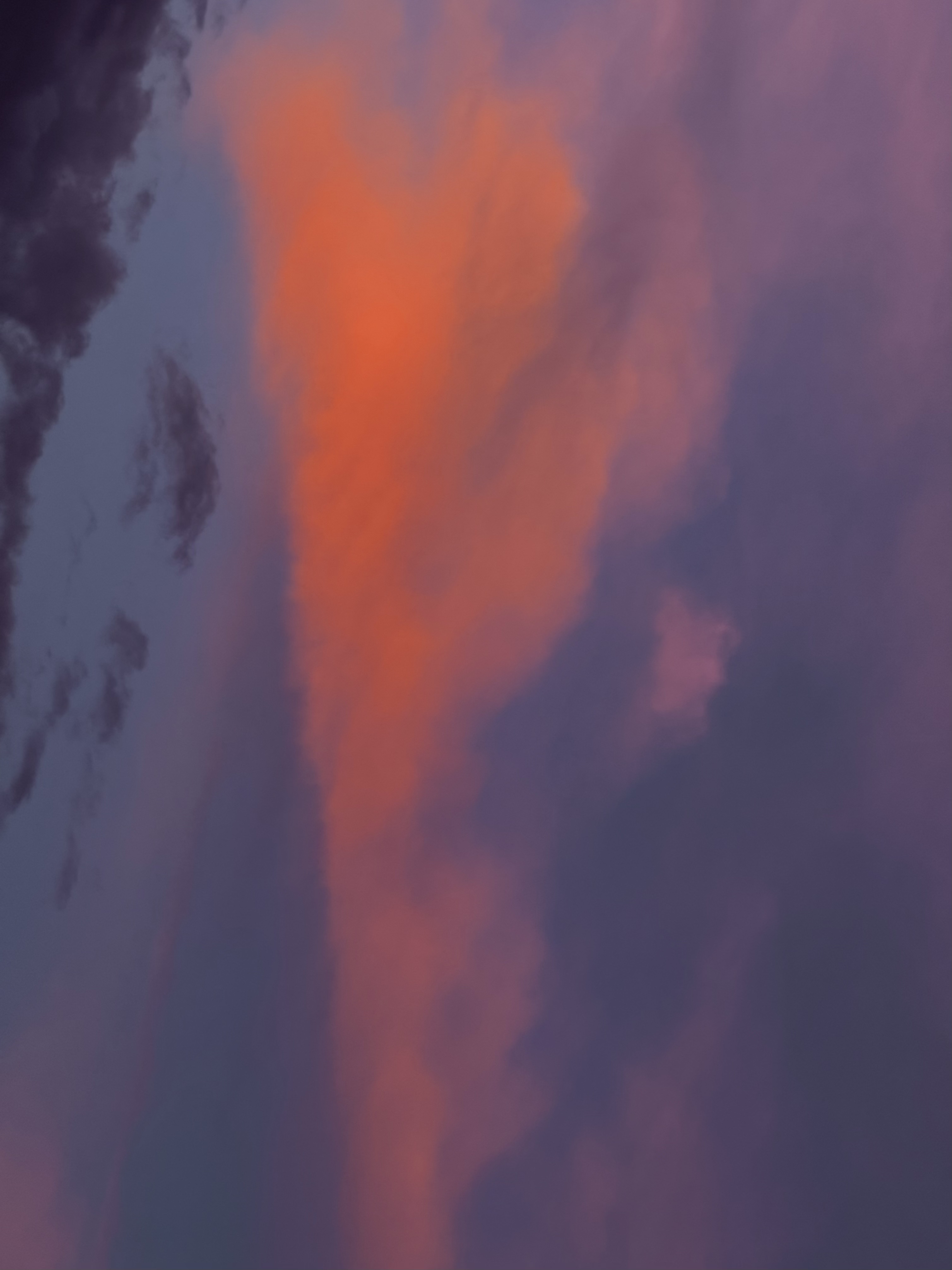 Palette — photograph 5